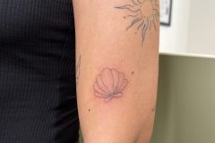 IMG_3943-scaled