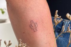 WhatsApp-Image-2026-04-06-at-15.15.11-scaled