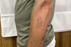 IMG_1782-scaled
