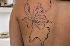 IMG_0094-scaled