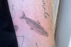 IMG_0286-scaled