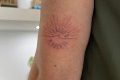 IMG_0348-scaled
