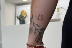 IMG_8692-scaled