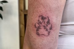 IMG_8770-scaled