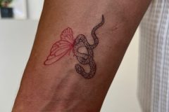 IMG_9224-scaled