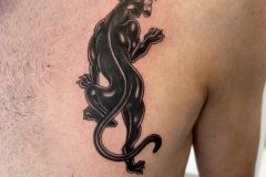 IMG_6597-scaled