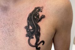 IMG_6601-scaled