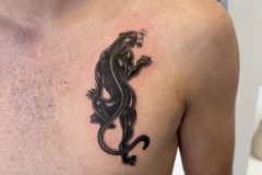 IMG_6602-scaled