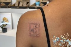 IMG_6718-scaled