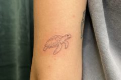 IMG_7005-scaled