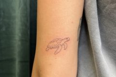 IMG_7007-scaled