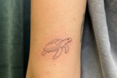 IMG_7010-scaled