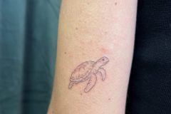 IMG_7040-scaled