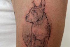 IMG_7405-scaled