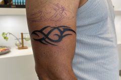 IMG_7951-scaled