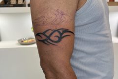 IMG_7953-scaled
